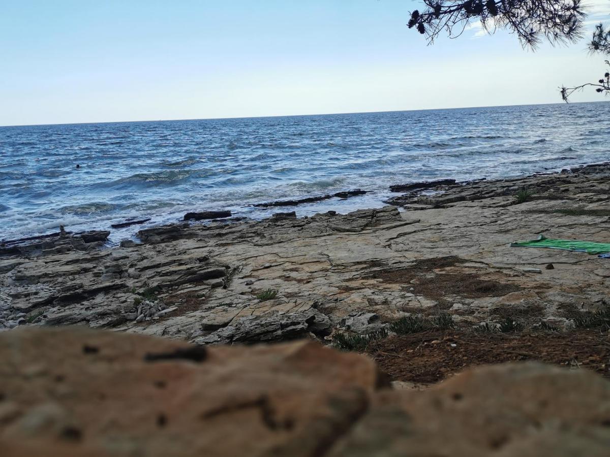 Resort Zatisje Savudrija Zewnętrze zdjęcie