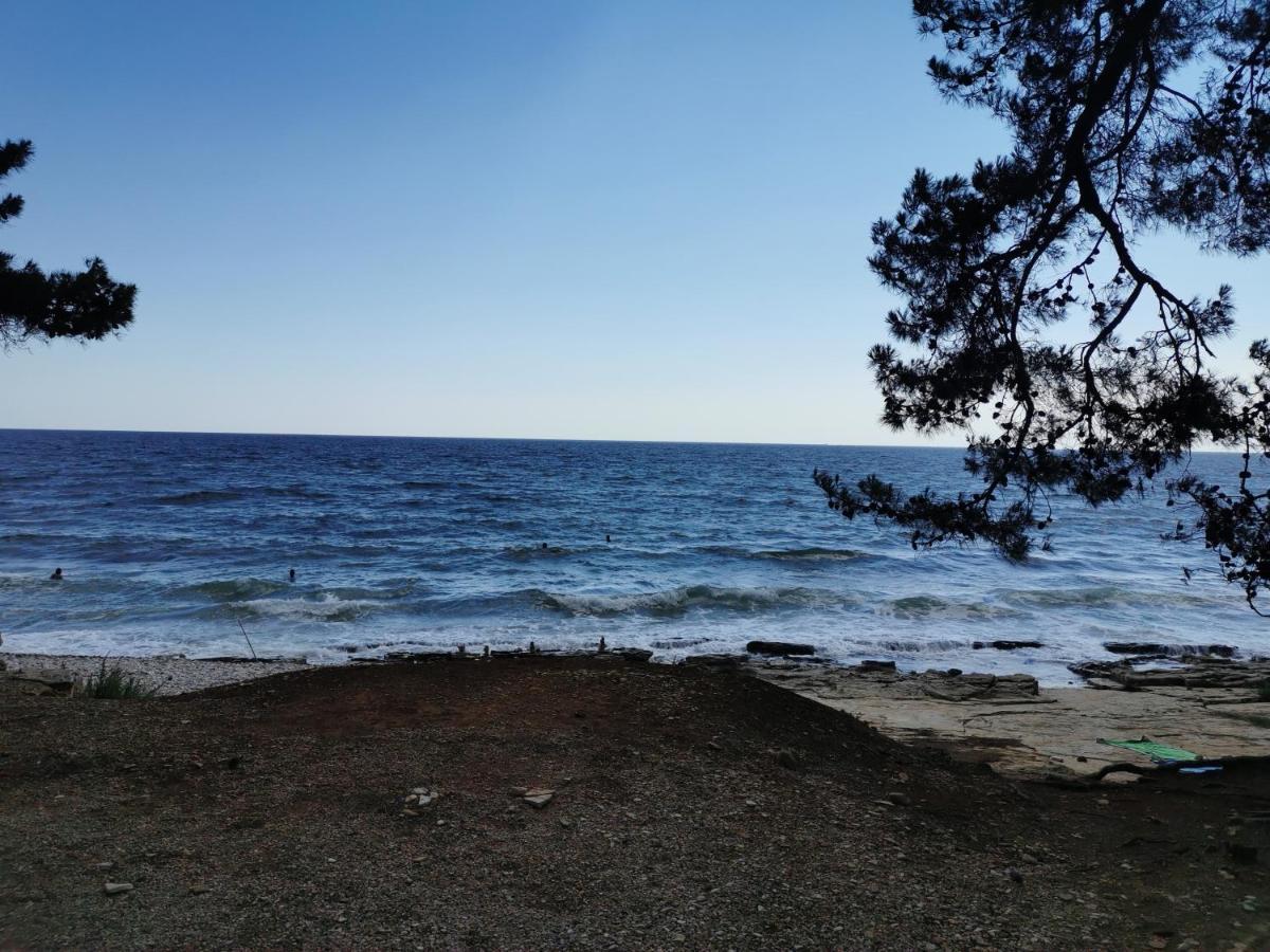 Resort Zatisje Savudrija Zewnętrze zdjęcie